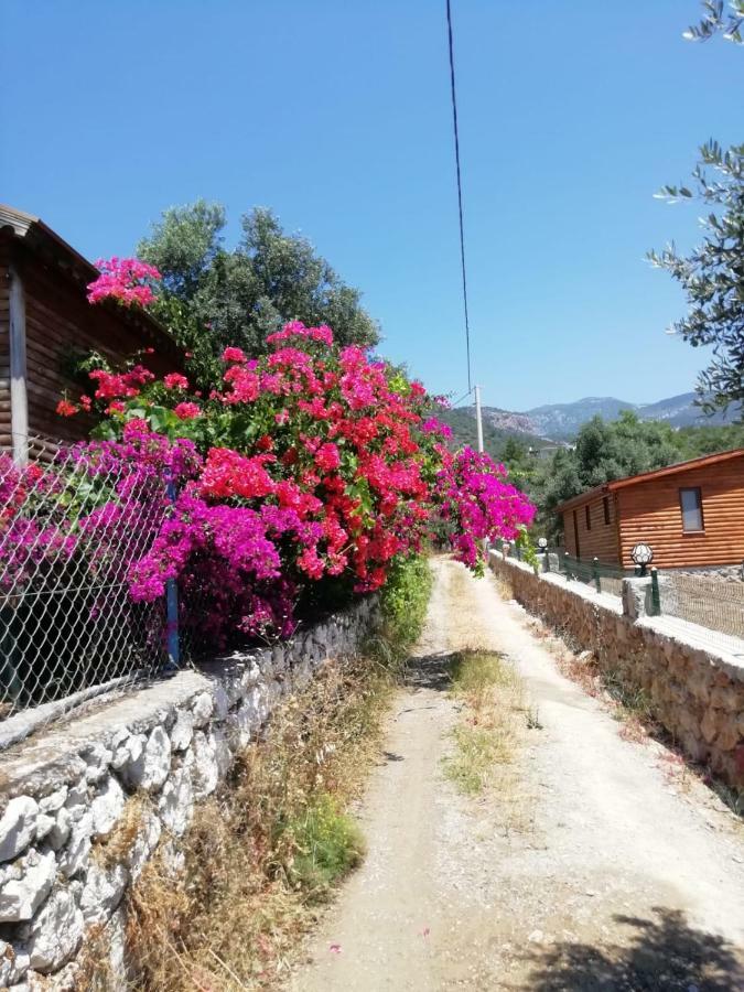 Hotel Bahar Bahce Datca Mesudiye  Exteriér fotografie