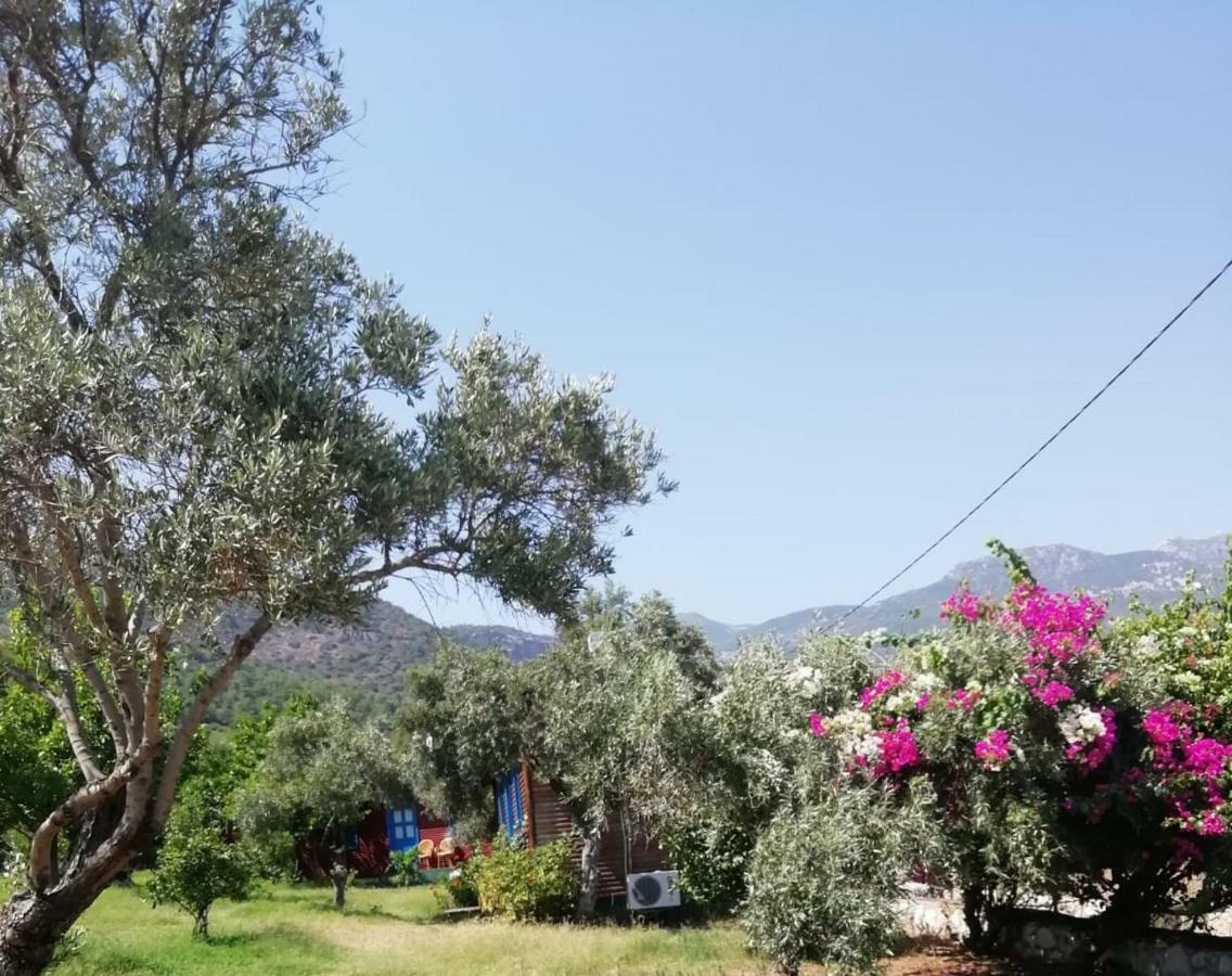 Hotel Bahar Bahce Datca Mesudiye  Exteriér fotografie